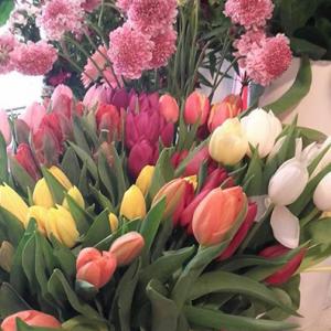 Actualité Facebook - 15/04/2016